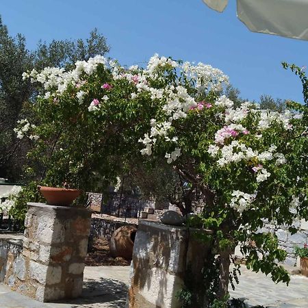 Charouda Stone Tower Xenonas Διαμέρισμα Pírgos Dhiroú Εξωτερικό φωτογραφία