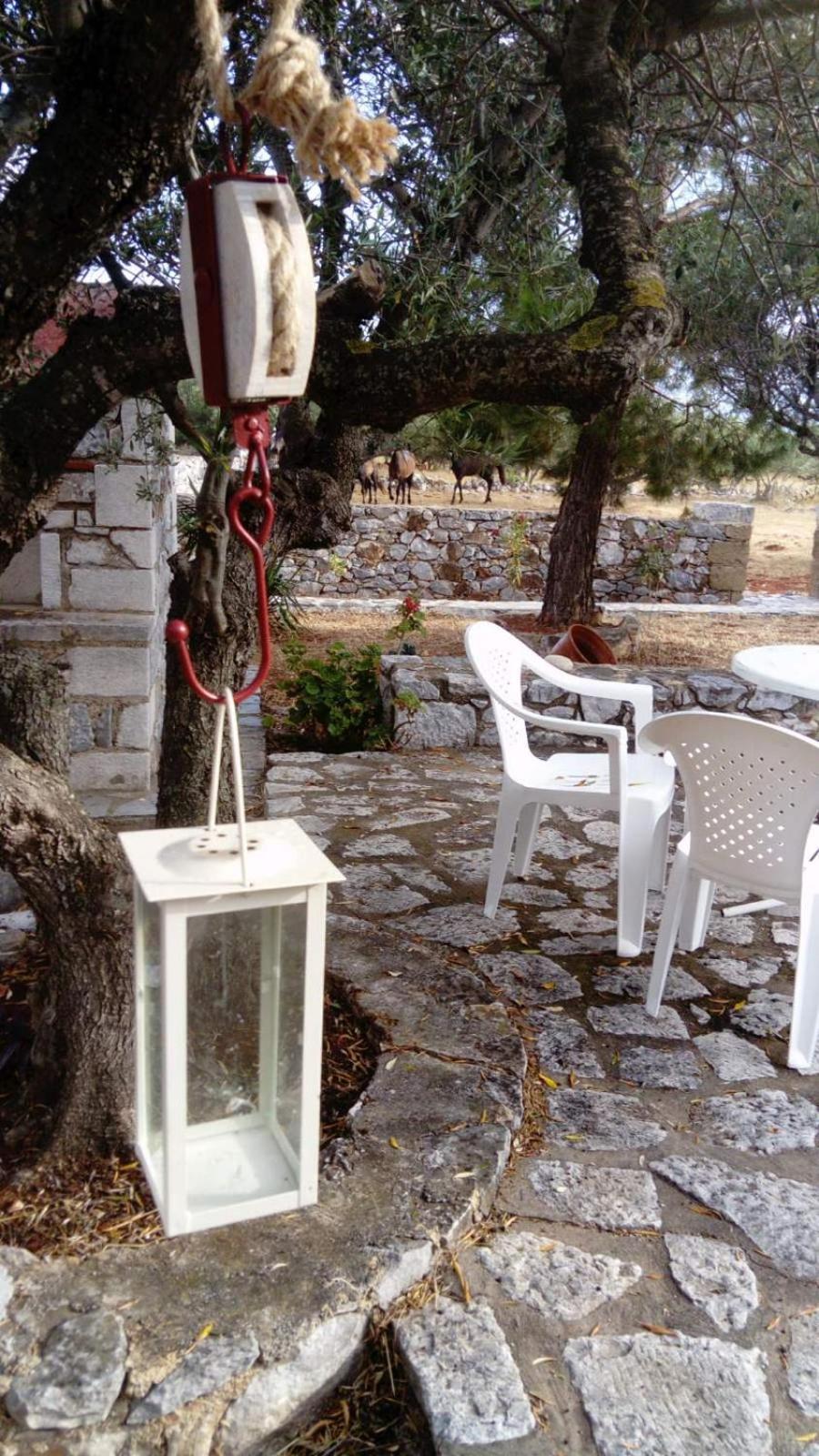 Charouda Stone Tower Xenonas Διαμέρισμα Pírgos Dhiroú Εξωτερικό φωτογραφία