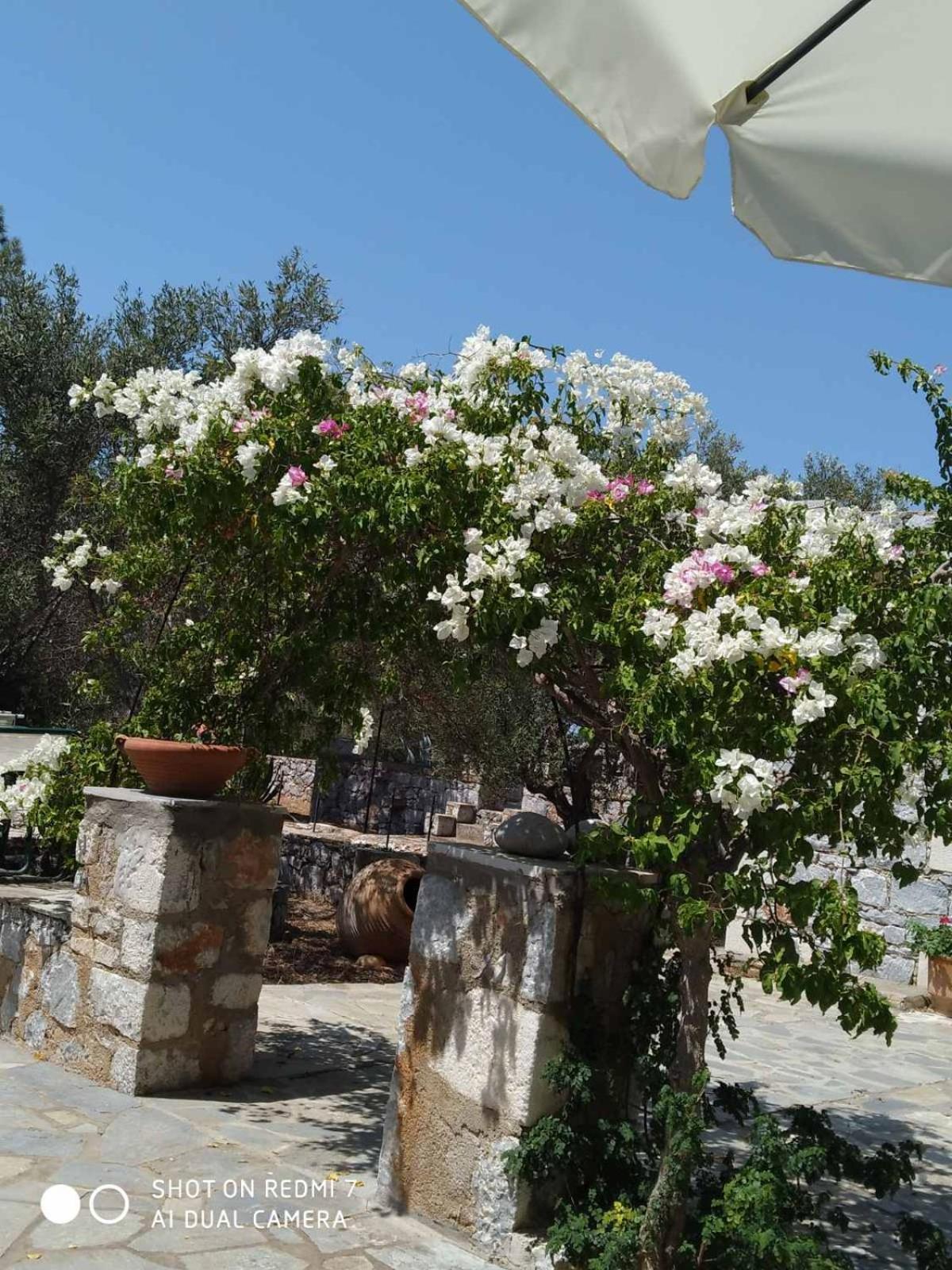 Charouda Stone Tower Xenonas Διαμέρισμα Pírgos Dhiroú Εξωτερικό φωτογραφία